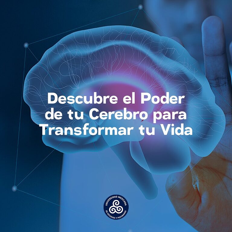 Neuroeducación: Descubre el Poder de tu Cerebro para Transformar tu Vida